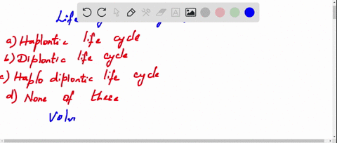most-of-the-alga-show-a-haplontic-life-cycle-b-diplontic-life-cycle-c-haplodiplontic-life-cycle-d-no