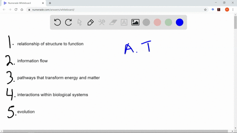 for-each-statement-identify-which-major-theme-is-evident-the-relationship-of-structure-to-functio-10