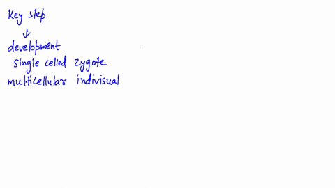 what-are-three-key-steps-in-the-development-of-a-single-celled-zygote-into-a-multicellular-individua