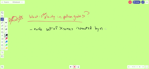 what-is-the-ploidy-of-pollen-grains-a-haploid-even-though-they-are-made-by-mitosis-b-diploid-because