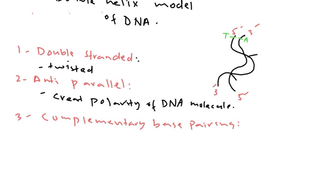 SOLVED:Describe the various characteristics of the Watson-Crick double ...