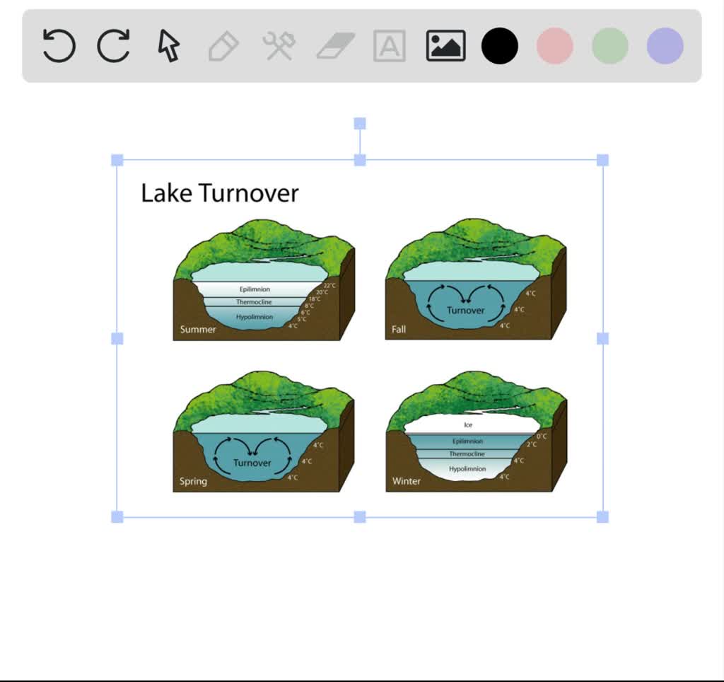 SOLVEDDuring the spring overturn in a temperate zone lake a. oxygen
