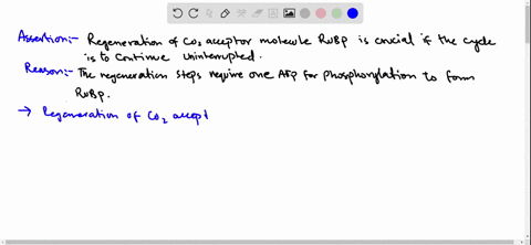 assertion-regeneration-of-mathrmco_2-acceptor-molecule-rubp-is-crucial-if-the-cycle-is-to-continue-u