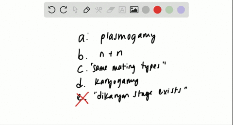 which-statement-about-the-dikaryon-stage-is-not-true-a-the-cytoplasm-of-two-cells-fuses-before-their