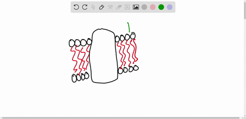 cell-membranes-consist-mostly-of-___________