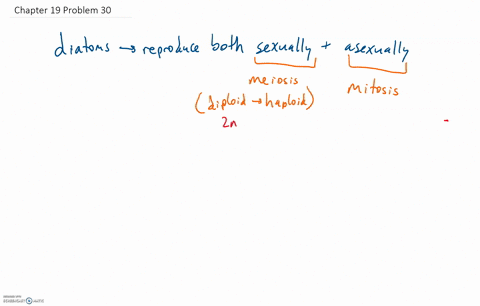 short-answer-explain-why-diatoms-must-reproduce-sexually-occasionally