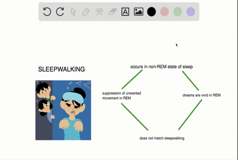 sleepwalking-occurs-in-up-to-15-percent-of-the-population-although-it-is-more-common-in-children-whi