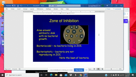 a-clear-zone-of-phage-infection-in-a-bacterial-lawn-is-__________________-a-a-prophage-b-a-plaque-c-