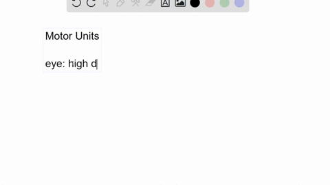 why-does-a-motor-unit-of-the-eye-have-few-muscle-fibers-compared-to-a-motor-unit-of-the-leg