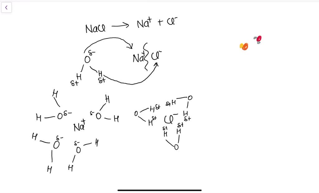 SOLVED: Which of the following diagrams best represents the hydration ...