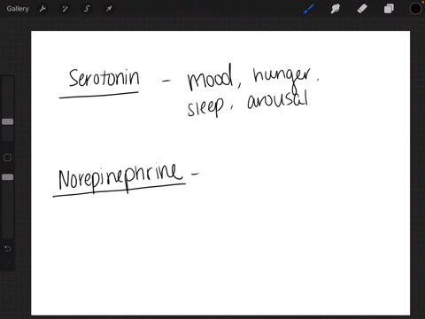 what-neurotransmitters-are-most-likely-in-undersupply-in-someone-who-is-depressed-a-dopamine-and-gab