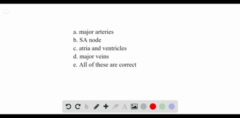 systole-refers-to-the-contraction-of-the-a-major-arteries-quad-d-major-veins-b-sa-node-quadquadquad-