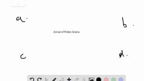 the-arrival-of-pollen-grains-on-a-receptive-stigma-is-called-_____-a-germination-b-abscission-c-poll