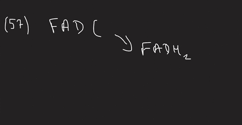 which-reactions-of-the-citric-acid-cycle-transfer-energy-as-mathrmfadh_2