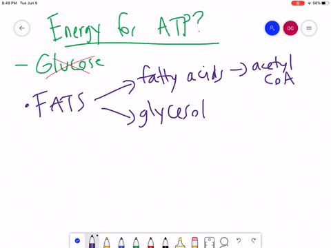 your-body-cells-can-break-down-_____________-as-a-source-of-energy-to-fuel-atp-production-a-fatty-ac