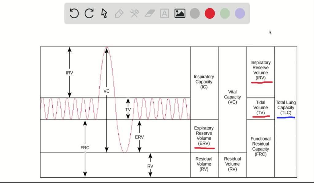 Difference Between Expiratory Reserve Volume And Residual Volume