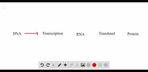 Solved:which Pre-Mrna Processing Step Is Important For Initiating  Translation? A. Poly-A Tail B. Rna Editing C. Splicing D. 7-Methylguanosine  Cap Solved:which Pre-Mrna Processing Step Is Important For Initiating  Translation? A. Poly-A Tail B. Rna Editing C. Splicing D. 7-Methylguanosine  Cap