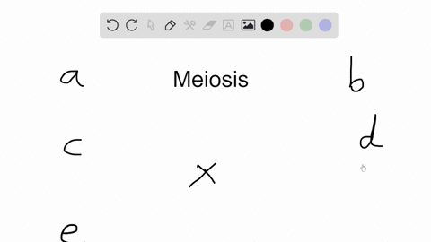 the-dna-content-in-a-diploid-cell-in-mathrmg_2-is-mathrmx-if-that-cell-goes-into-meiosis-at-metaphas