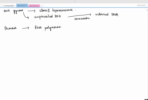 what-are-the-functions-of-the-gyrase-primase-and-ligase-enzymes-in-dna-replication-2