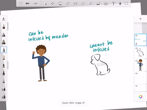 why-cant-dogs-catch-the-measles
