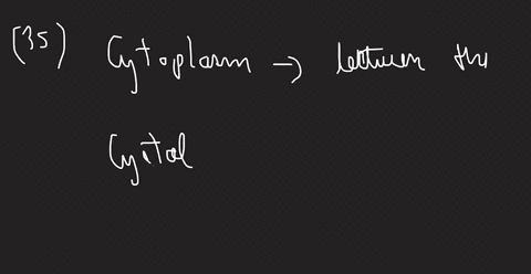 what-is-the-difference-between-the-cytoplasm-and-the-cytosol