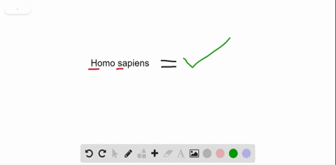 which-of-the-following-is-a-correct-usage-of-binomial-nomenclature-a-homo-sapiens-b-homo-sapiens-c-h