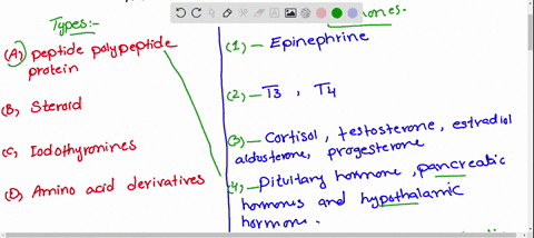 match-the-column-i-with-column-ii-column-i-a-peptide-polypeptide-protein-hormones-b-steroid-c-iodoth