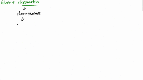 what-are-the-two-major-components-of-chromatin