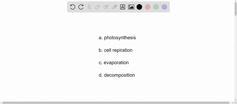 all-of-the-following-processes-are-involved-in-the-carbon-cycle-except-a-photosynthesis-b-cell-respi
