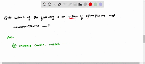 which-of-the-following-is-an-action-of-epinephrine-and-norepinephrine-a-decreases-glucose-use-b-incr