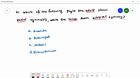 which-of-the-following-has-radial-symmetrical-adult-and-bilateral-symmetrical-larva-a-echinodermata-