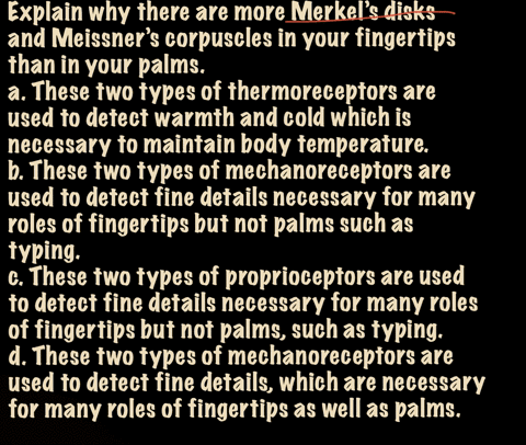 explain-why-there-are-more-merkels-disks-and-meissners-corpuscles-in-your-fingertips-than-in-your-pa