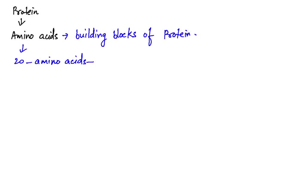 solved-what-are-the-main-building-blocks-for-the-sequence-diagram-how