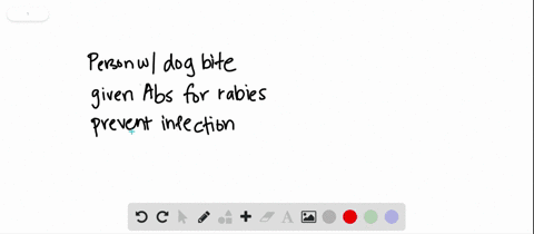 a-patient-is-bitten-by-a-dog-with-confirmed-rabies-infection-after-treating-the-bite-wound-the-physi