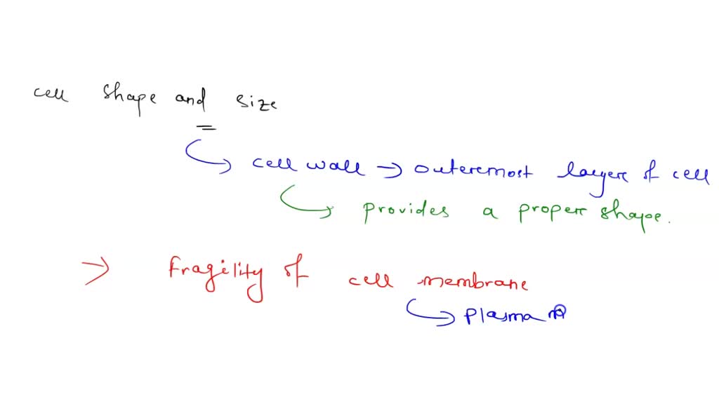 SOLVED:The almost 200 different types of cells in the body vary ...