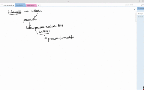 explain-briefly-what-happens-to-eukaryotic-mrna-before-it-can-be-translated-to-protein