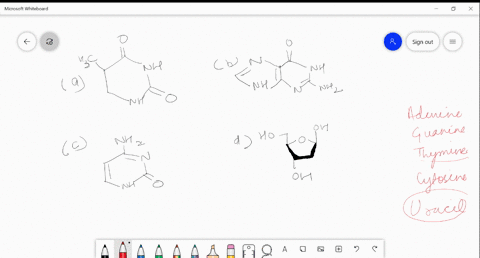 identify-structure-of-thymine