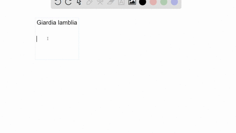 giardia-lamblia-is-a-cyst-forming-protist-parasite-that-causes-diarrhea-if-ingested-given-this-infor