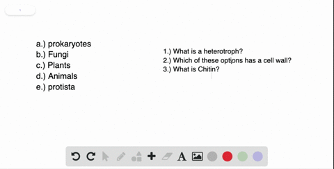 refer-to-the-terms-below-a-prokaryotes-b-fungi-c-plants-d-animals-e-protista-heterotrophs-whose-cell