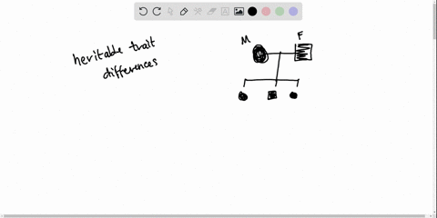differences-in-heritable-traits-arise-through-____________