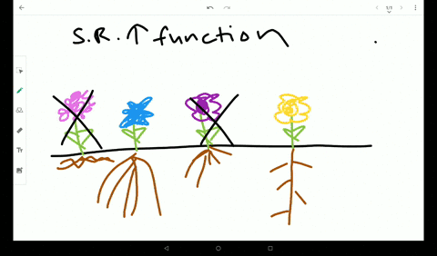 what-evidence-supports-the-hypothesis-that-species-richness-increases-ecosystem-functions-such-as-pr