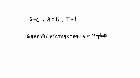 write-the-sequence-of-the-mrna-molecule-transcribed-from-the-following-template-dna-sequence-g-g-a-a