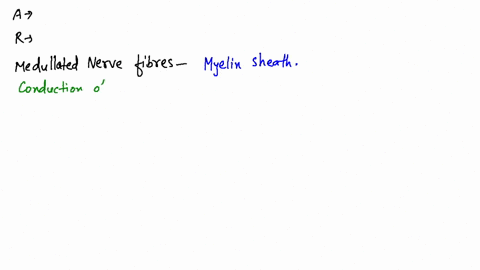 assertion-in-a-myelinated-nerve-fibre-the-impulse-jumps-from-one-node-of-ranvier-to-the-other-reason