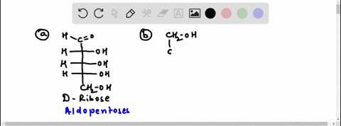 classify-the-following-monosaccharides-3