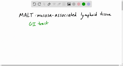 collections-of-lymphoid-tissue-malt-that-guard-mucosal-surfaces-include-all-of-the-following-except-