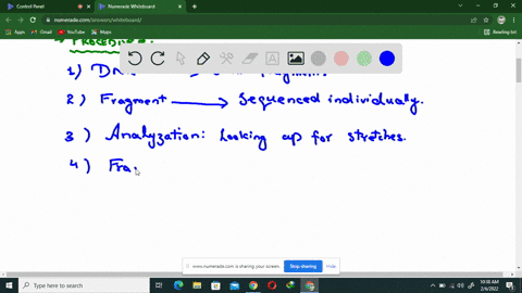 what-is-the-shotgun-method-for-determining-the-complete-genome-sequence-of-an-organism
