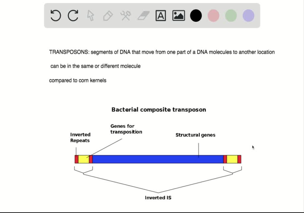 SOLVEDWhich of the following are called "jumping genes"? a. Hfr cells b. transducing phages c