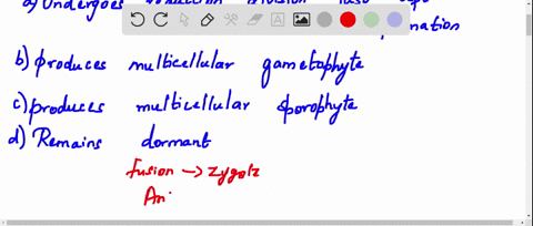 zygote-of-pteridophyte-a-undergoes-reduction-division-just-often-formation-b-produces-multicellular-
