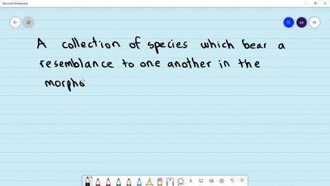 a-collection-of-species-which-bear-a-close-resemblance-to-one-another-in-the-morphological-character