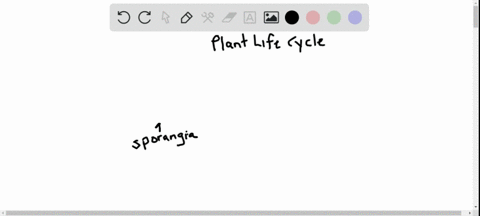 in-the-angiosperm-life-cycle-which-of-the-following-processes-is-directly-dependent-on-meiosis-a-pro